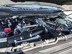 New 2026 Ford F-250 Platinum Crew Cab 4WD Pickup for sale #KBF260450 - photo 25