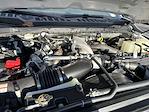 New 2026 Ford F-250 XL Regular Cab for sale #KBF260466 - photo 21