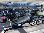 New 2026 Ford F-250 XL Regular Cab 4WD Pickup for sale #KBF260621 - photo 20
