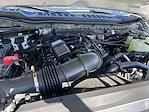 2026 Ford F-250 Regular Cab 4WD Pickup for sale #KBF260621 - photo 21