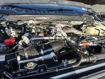 Used 2025 Ford F-450 Platinum Crew Cab for sale #KBF260640A - photo 25