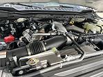 2026 Ford F-350 Crew Cab SRW 4WD Pickup for sale #KBF260642 - photo 23