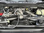 New 2026 Ford F-250 XLT Crew Cab 4WD Pickup for sale #KBF260764 - photo 24