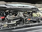 2026 Ford F-250 Crew Cab 4WD Pickup for sale #KBF261030 - photo 25
