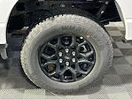 New 2026 Ford F-150 XLT SuperCrew Cab for sale #KBF261092 - photo 9