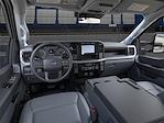2024 Ford F-250 Crew Cab 4x4 Pickup for sale #REE01386 - photo 9