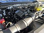 2024 Ford F-350 Crew Cab SRW 4x4 Pickup for sale #REE47225 - photo 21