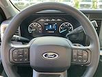 2024 Ford F-250 Crew Cab 4x4 Pickup for sale #REE47400 - photo 13