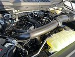 2024 Ford F-150 SuperCrew Cab 4x4 Pickup for sale #RKF56689 - photo 23