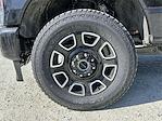 2025 Ford F-350 Crew Cab SRW 4x4 Pickup for sale #SEC93170 - photo 9