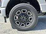 2025 Ford F-250 Crew Cab 4x4 Pickup for sale #SED17141 - photo 9