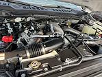 2024 Ford F-350 Crew Cab SRW 4x4 Pickup for sale #SED47614B - photo 25