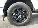 2024 Ford F-350 Crew Cab SRW 4x4 Pickup for sale #SED47614B - photo 9