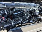 2021 Ford F-250 Crew Cab 4WD Pickup for sale #SED79660A - photo 23
