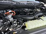 New 2025 Ford F-150 XLT SuperCrew Cab 4x4 Pickup for sale #SFA09214 - photo 23