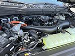 2025 Ford F-150 SuperCrew Cab 4x4 Pickup for sale #SFA09606 - photo 25