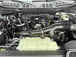 2025 Ford F-150 SuperCrew Cab 4x4 Pickup for sale #SFA21591 - photo 23