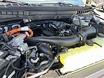 2025 Ford F-150 SuperCrew Cab 4x4 Pickup for sale #SFA26432 - photo 25