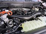 2025 Ford F-150 SuperCrew Cab 4x4 Pickup for sale #SFA26737 - photo 25