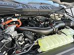 2025 Ford F-150 SuperCrew Cab 4x4 Pickup for sale #SFA33748 - photo 24