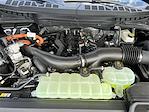 2025 Ford F-150 SuperCrew Cab 4x4 Pickup for sale #SFA57103 - photo 24