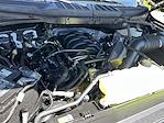 2025 Ford F-150 SuperCrew Cab 4x4 Pickup for sale #SFB17000 - photo 24