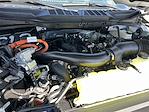 New 2025 Ford F-150 XLT SuperCrew Cab 4WD Pickup for sale #SFB42452 - photo 24