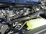 2025 Ford F-150 SuperCrew Cab 4x4 Pickup for sale #SKD05140 - photo 22