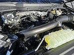2025 Ford F-150 SuperCrew Cab 4x4 Pickup for sale #SKD10706 - photo 24