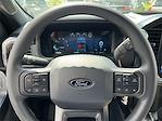 2025 Ford F-150 SuperCrew Cab 4x4 Pickup for sale #SKD24095 - photo 13