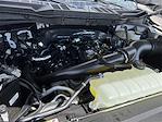 2025 Ford F-150 SuperCrew Cab 4x4 Pickup for sale #SKD24095 - photo 24
