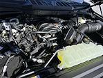 2025 Ford F-150 Regular Cab 4x4 Pickup for sale #SKD34232 - photo 20