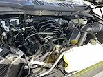 2025 Ford F-150 SuperCrew Cab 4x4 Pickup for sale #SKD65962 - photo 24