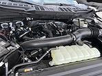 New 2025 Ford F-150 XLT SuperCrew Cab 4x4 Pickup for sale #SKD69518 - photo 24
