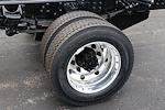 2024 Chevrolet Silverado 5500 Regular Cab DRW 4x4 Cab Chassis for sale #C240507 - photo 21