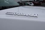 2024 Chevrolet Silverado 5500 Regular Cab DRW 4x2 Cab Chassis for sale #C240550 - photo 28