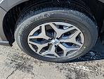 Used 2023 Subaru Forester Premium for sale #MS260113A - photo 16