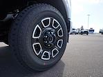 New 2026 Ford F-250 Platinum Crew Cab 4WD Pickup for sale #EC51997 - photo 9