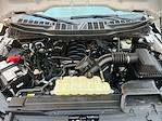 Used 2023 Ford F-150 XL SuperCrew Cab for sale #FA69255A - photo 25