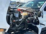 New 2024 Chevrolet Silverado 5500 Regular Cab Cab Chassis for sale #H041192 - photo 14