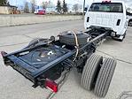 New 2024 Chevrolet Silverado 5500 Regular Cab Cab Chassis for sale #H262834 - photo 13