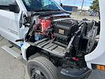 New 2024 Chevrolet Silverado 5500 Regular Cab Cab Chassis for sale #H262834 - photo 16