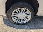 Used 2018 Cadillac Escalade Platinum SUV for sale #C10359A - photo 15