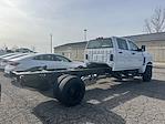 New 2024 Chevrolet Silverado 5500 Crew Cab Cab Chassis for sale #T24885 - photo 2
