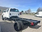 New 2024 Chevrolet Silverado 5500 Crew Cab Cab Chassis for sale #T24885 - photo 6