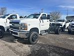 2024 Chevrolet Silverado 5500 Regular Cab DRW 4WD Cab Chassis for sale #T24887 - photo 3