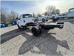2024 Chevrolet Silverado 5500 Crew Cab DRW 4WD Cab Chassis for sale #T24982 - photo 4
