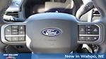 2025 Ford F-150 SuperCrew Cab 4x4 Pickup for sale #9F1538 - photo 32