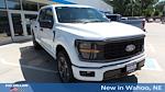 2025 Ford F-150 SuperCrew Cab 4x4 Pickup for sale #9F1559 - photo 28