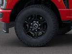 2025 Ford F-350 Regular Cab SRW 4x4 Pickup for sale #W1217 - photo 19